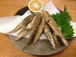 武庫川河口でハゼ釣り　奥深さと楽しみを知りました