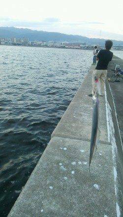 西宮浜でワインド、当たってきても型は指２本半でした