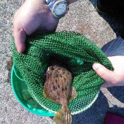 世久見　堤防でカワハギ釣り＆ちょい投げのキス