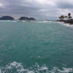 新宮港湾内でエギング、アオリ600g