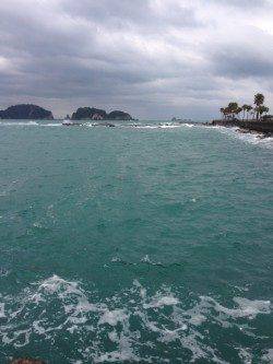 新宮港湾内でエギング、アオリ600g