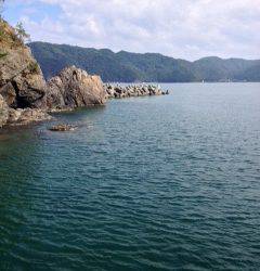 宇久のエギング 朝から夕方までコンスタントに釣果あり