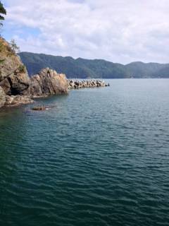 宇久のエギング 朝から夕方までコンスタントに釣果あり