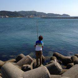 船瀬～阿万で投げ釣り　キス・ベラの釣果