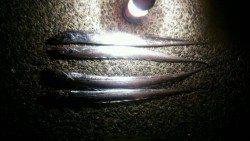 西宮浜での夕方からのワインド釣果