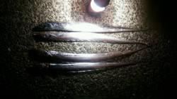 西宮浜での夕方からのワインド釣果