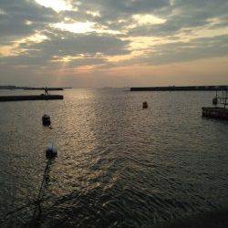 須磨　投げ釣りでアナゴ大漁！ハネの40cmも