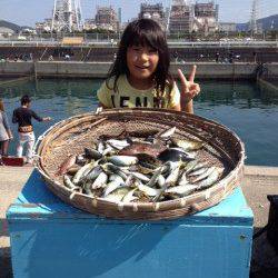 和歌山マリーナシティ、サビキでアジ　他アコウやアイゴも