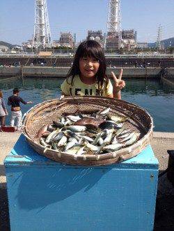 和歌山マリーナシティ、サビキでアジ　他アコウやアイゴも