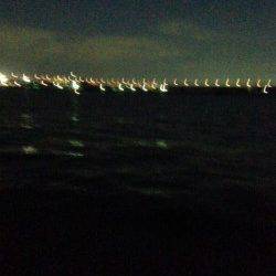 武庫川河口で流し釣り、30cmのキビレが連釣！