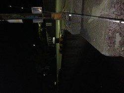 牛ヶ首周辺でのアジング＆胴突き釣果