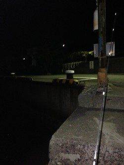 牛ヶ首周辺でのアジング＆胴突き釣果