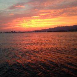 西宮浜　湾の奥にイワシの群れ　ワインドを投げるとタチウオがヒット