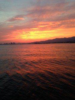 西宮浜　湾の奥にイワシの群れ　ワインドを投げるとタチウオがヒット