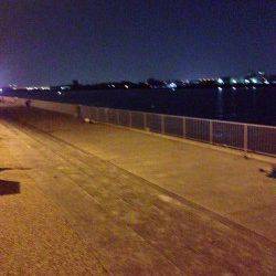 岸和田　19時から1時間のアジング釣行