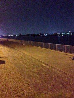 岸和田　19時から1時間のアジング釣行