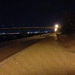 強い風の中岸和田でアジング