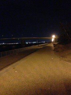 強い風の中岸和田でアジング