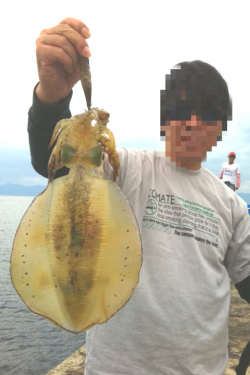 伊根で今季自己記録の650gのアオリ