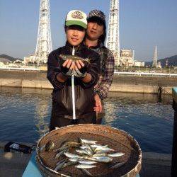 和歌山マリーナシティ、サビキでアジ　他アコウやアイゴも