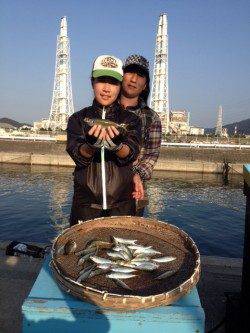 和歌山マリーナシティ、サビキでアジ　他アコウやアイゴも