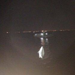 武庫川河口で流し釣り、30cmのキビレが連釣！