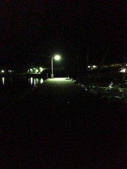 下津周辺の漁港でアジング　コンスタントに釣れ続きました