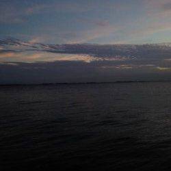 西宮浜、ワーム引きづりタチウオ指2.5本