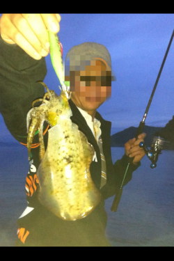 伊根でエギング　粘り続けて見れたアオリイカ！！