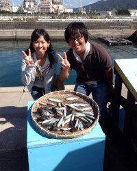 マリーナシティでサビキ釣り、アジ・グレ・アイゴ好釣！