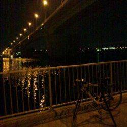 仕事帰りに岸和田でアジング♪