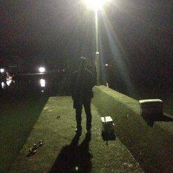 目良漁港でのアジング釣果