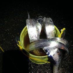 兵突でワインド、夕方の時合にタチウオ連続ＨＩＴ！