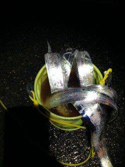 兵突でワインド、夕方の時合にタチウオ連続ＨＩＴ！