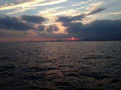 西宮浜での夕方からのワインド釣果