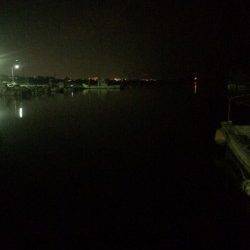 アジングランガン！ショートバイト多し！