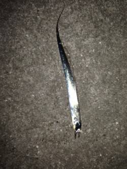 西宮浜　湾の奥にイワシの群れ　ワインドを投…