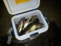 小島でウキ釣り　手前のカケアガリを狙いメバル&グレ