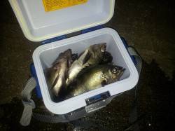 小島でウキ釣り　手前のカケアガリを狙いメバ…