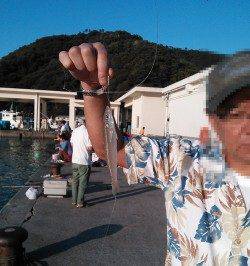 世久見　堤防でカワハギ釣り＆ちょい投げのキス