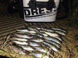 風がやんだら爆釣モードに!南港アジング