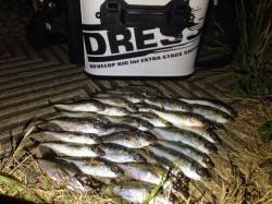 風がやんだら爆釣モードに！南港アジング