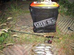 【24日】本日の大阪南港アジング釣果は？