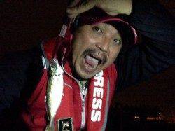 大阪南港でのアジング釣果