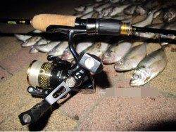 大阪南港、アジングでアジ35匹！！