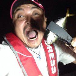 舞洲でのアジング釣果、5日は渋かった