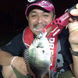 アジングワームでキビレGET！