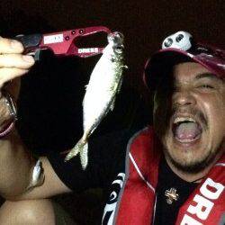 大阪南港でアジング、アジ32匹！！