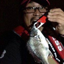 大阪南港　アジングタックルでキビレゲーム