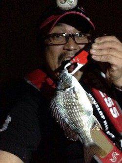 大阪南港　アジングタックルでキビレゲーム